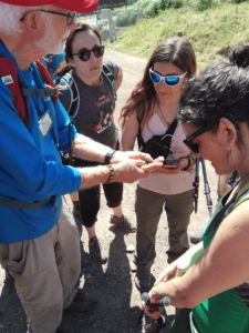 Personas conociendo sobre la flora en el Cerro del Medio