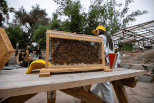 Personas reunidas en taller de apicultura en parque cordillera