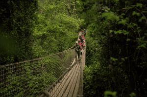 Personas haciendo trekking en el día de los cerros 2024 en parque cordillera